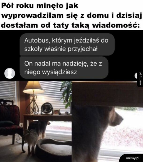 Stęskniony pieseł