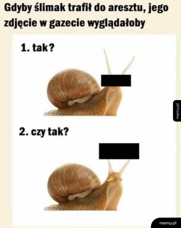 No właśnie - jak?