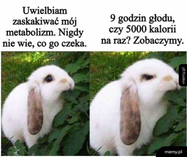 Zobaczymy