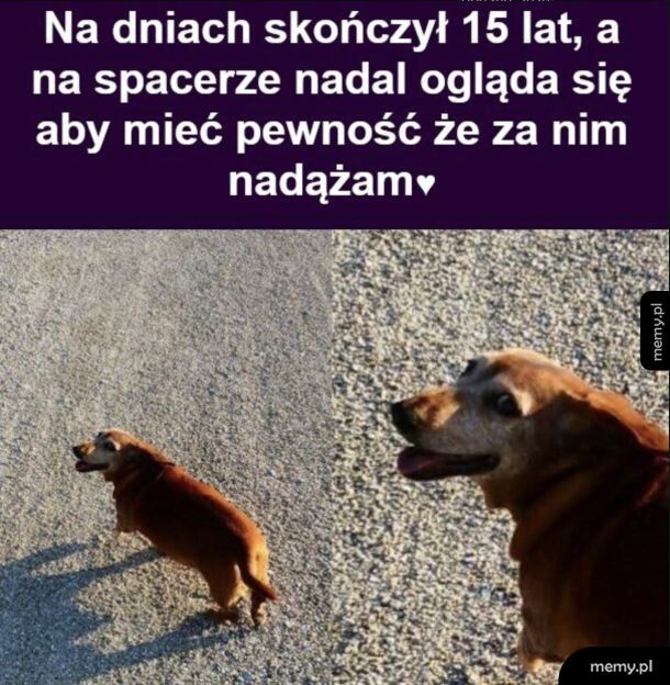 Kochany