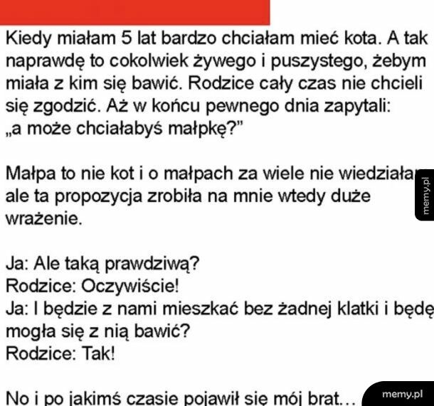 Trochę przekoloryzowali