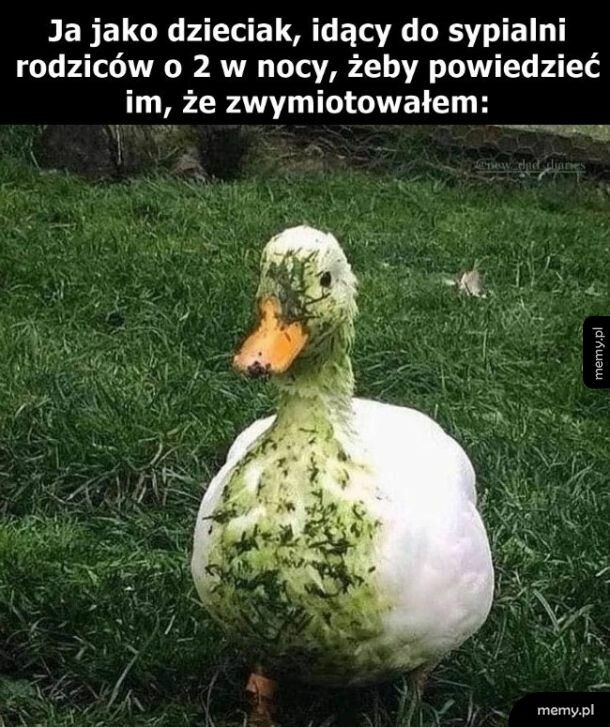 Kaczka