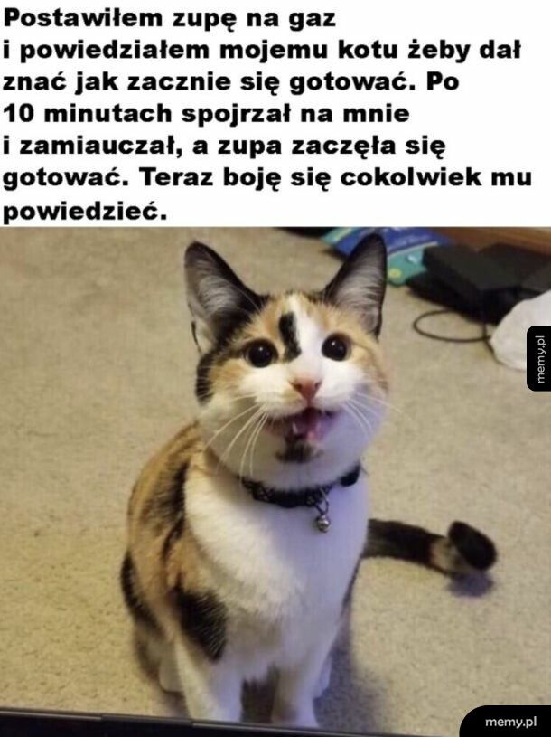 Kocioł