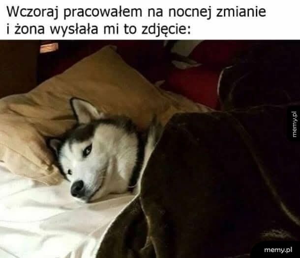 Pieseł