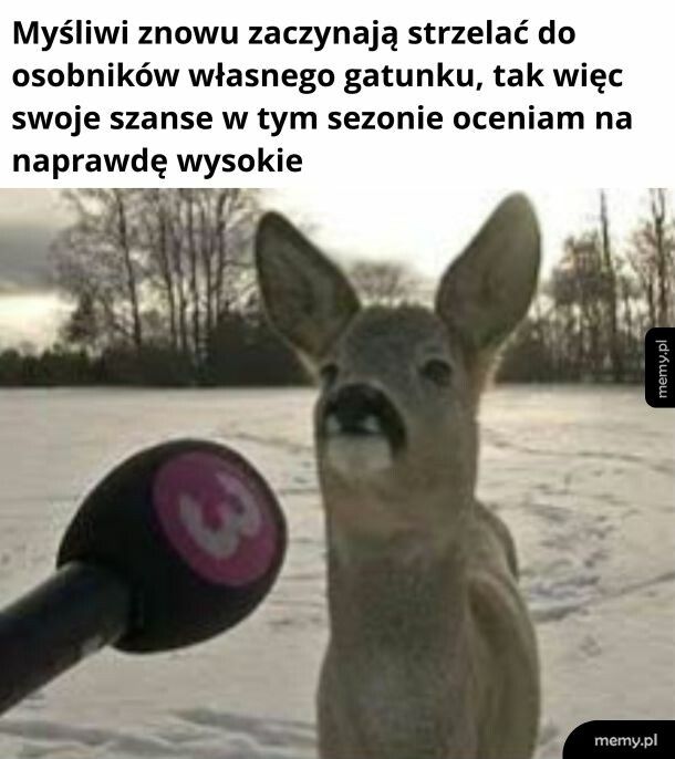 Szanse rosną