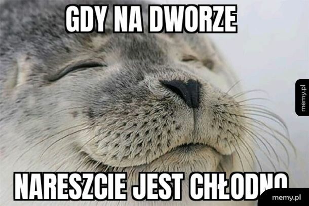 Nareszcie