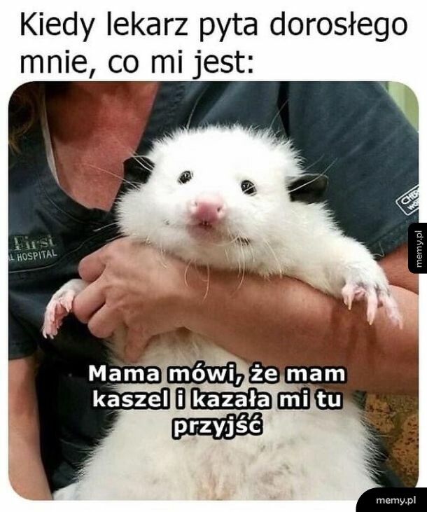 Wizyta