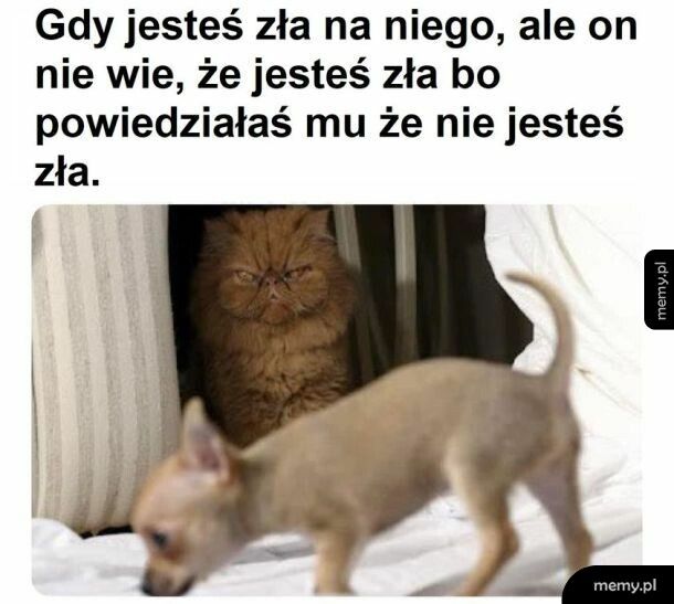 I wszystko jasne