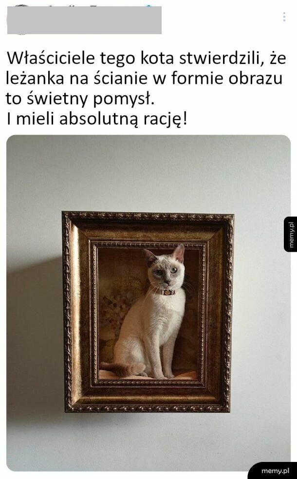 Wygląda majestatycznie