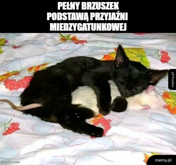 Zgadza się