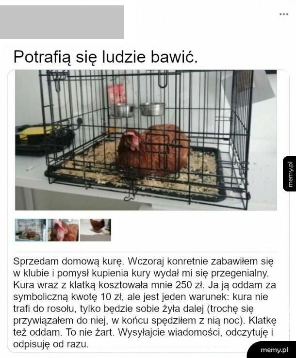 Potrafią się ludzie bawić