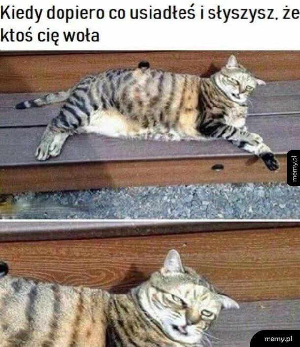 Irytujące