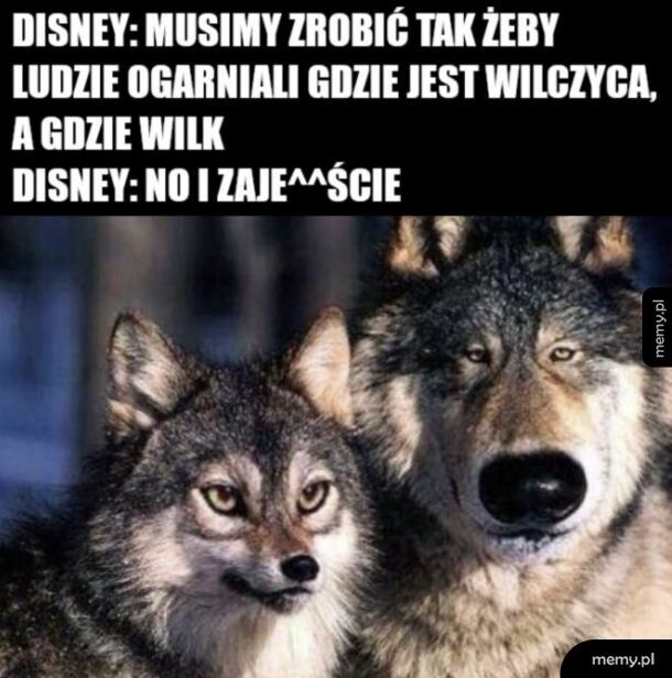 No i załatwione