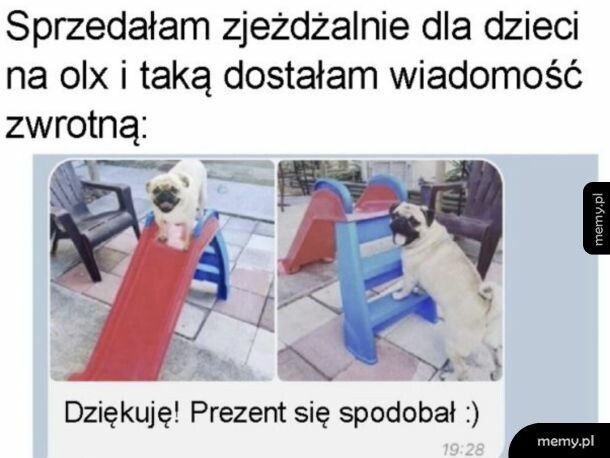 Zjeżdżalnia dla psa