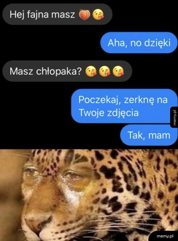 Zajęta