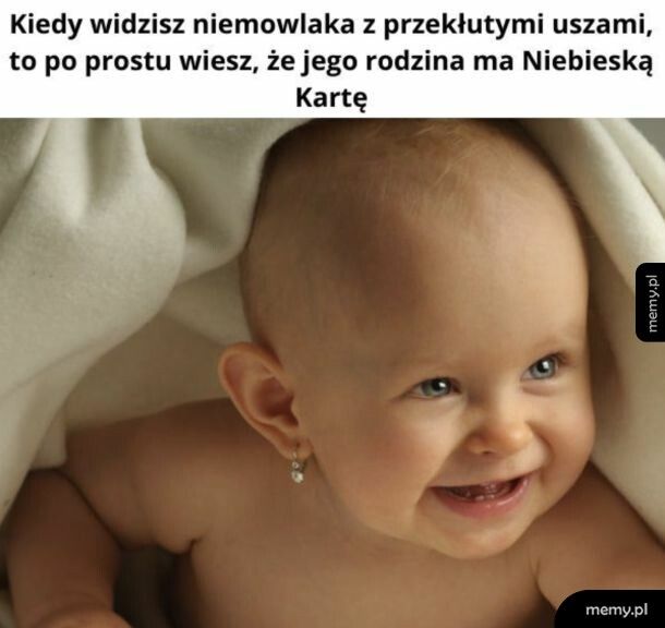 Coś w tym jest
