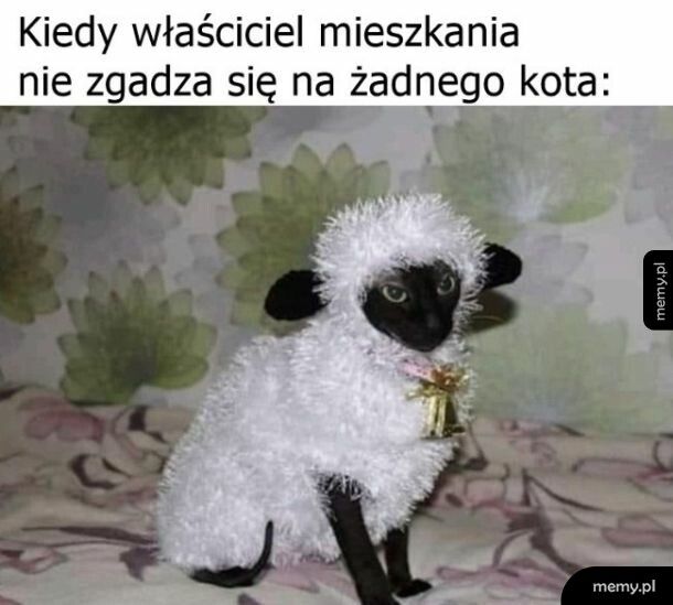Kamuflaż