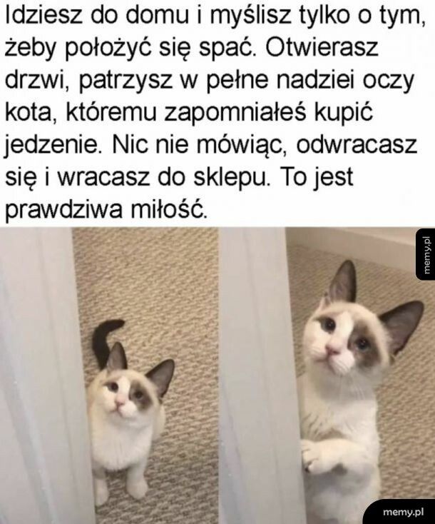 Lepiej kupować na zapas