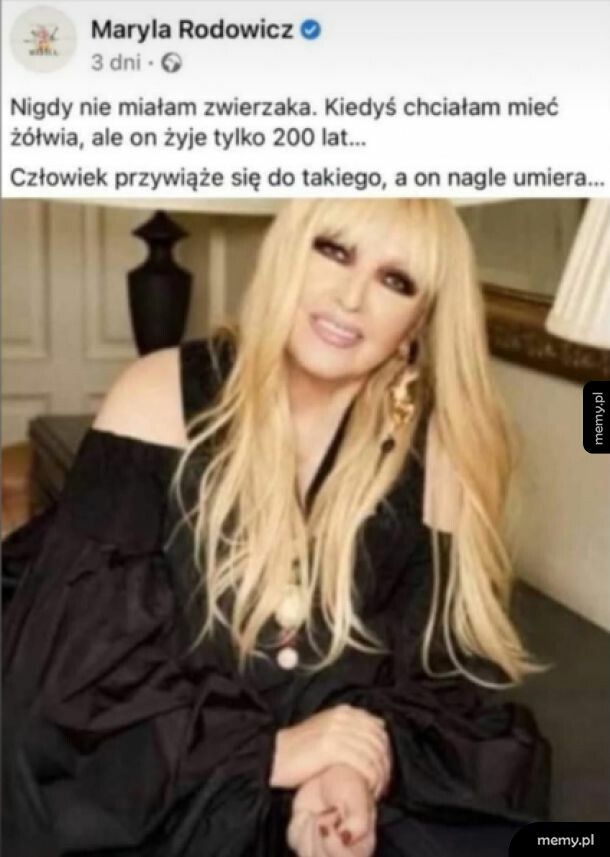 Pozostaje gąbka Scolymastra joubini