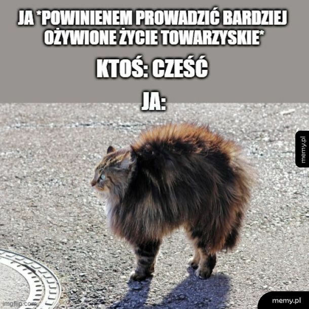 Towarzyski
