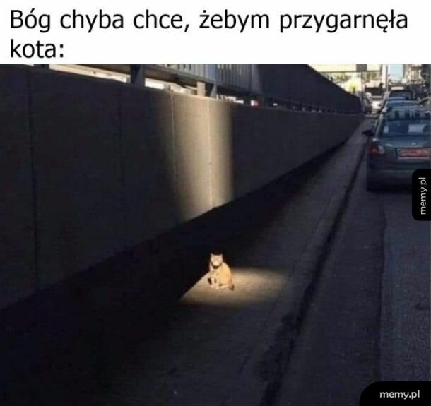 Znak