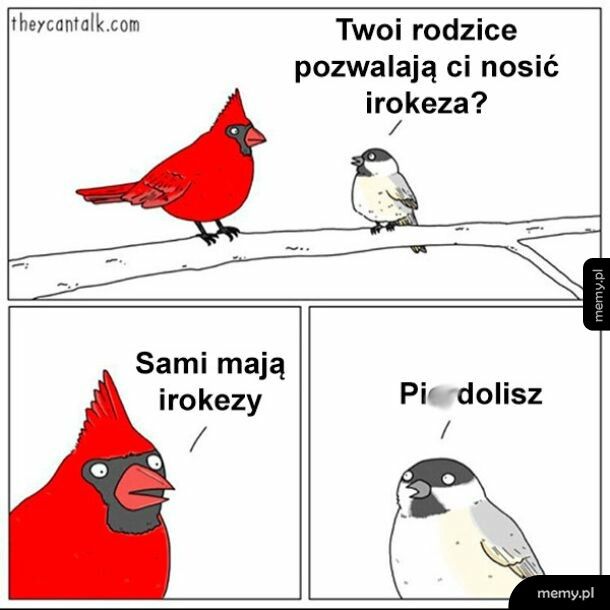 Tolerancyjni rodzie