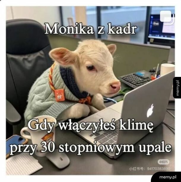 Zimno