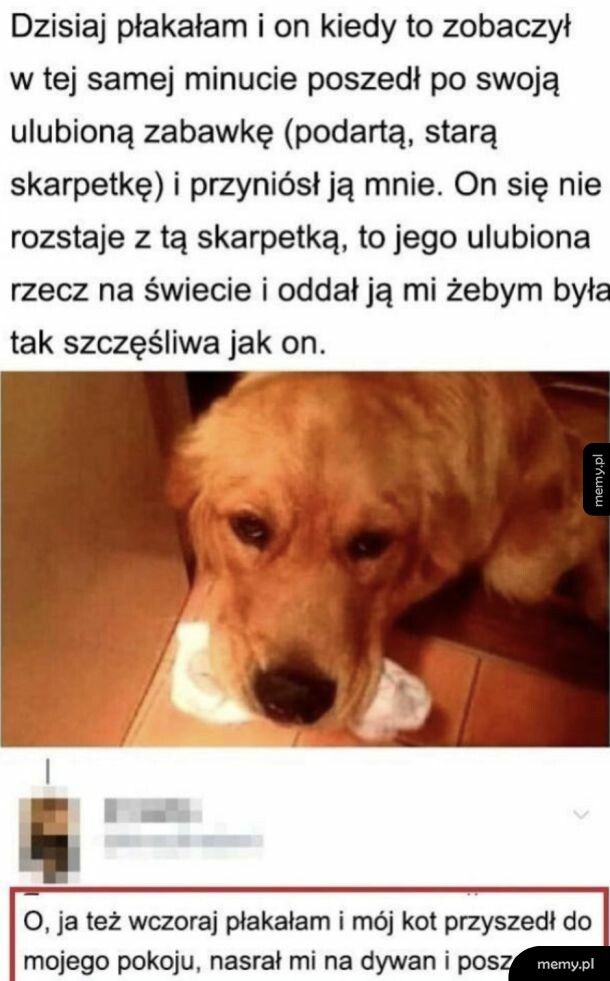 Kochany pieseł