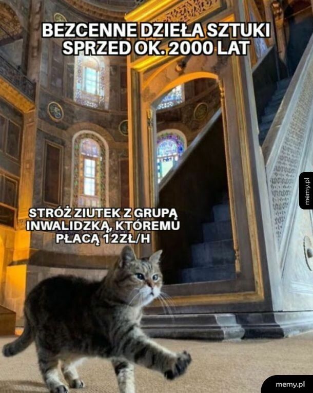 Stróż