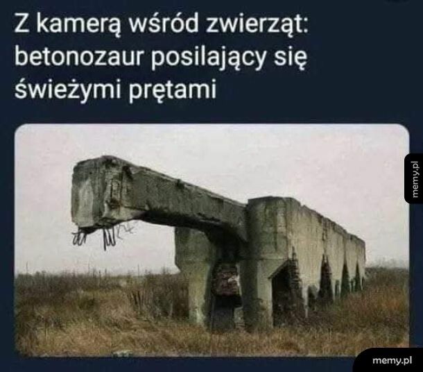 Betonozaur