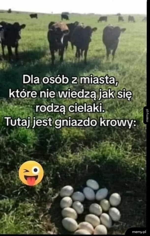 Teraz już wiecie