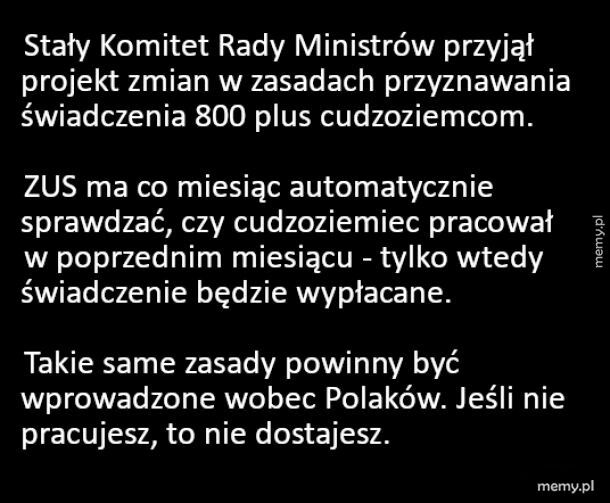 800+ powinien być tylko dla pracujących