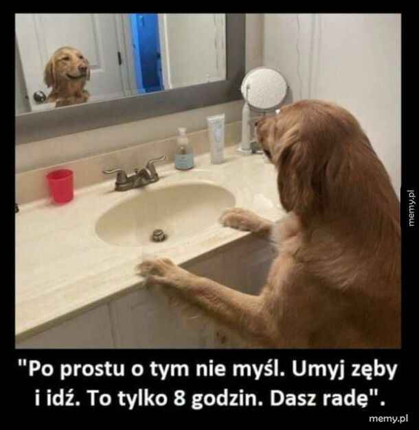 Dasz radę