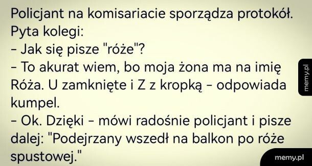 Róża