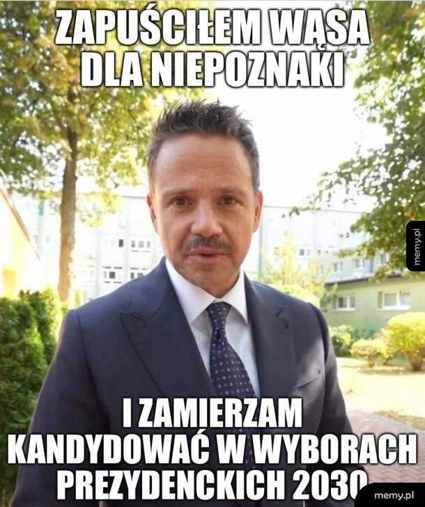 Wąs dla niepoznaki