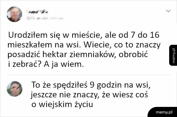 Ekspert się znalazł