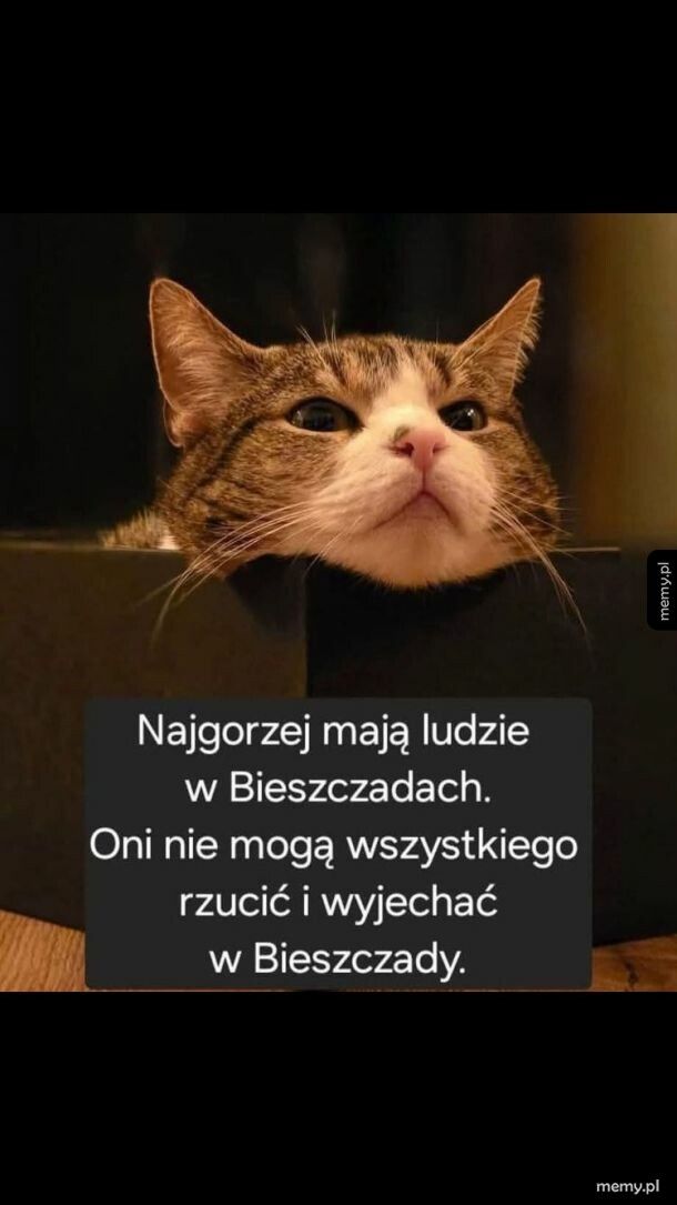Gdzie bieszczadzianianie wyjezdzaja?