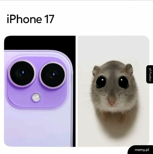 A teraz to odzobacz