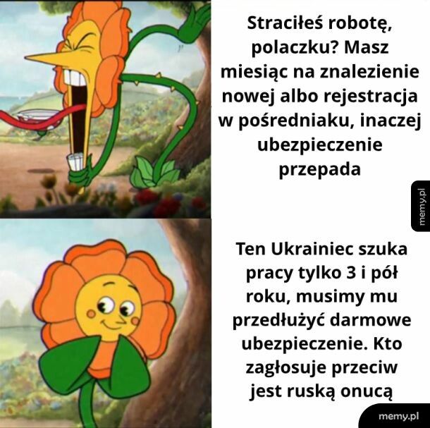 Państwo z gówna i dykty