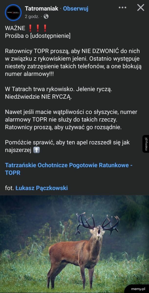 Udostępniam LOL