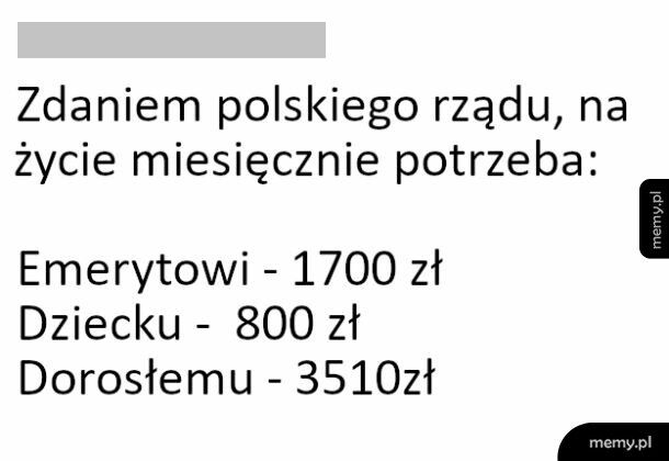 Ile minimalnie potrzebujemy pieniędzy, żeby przeżyć - według rządu