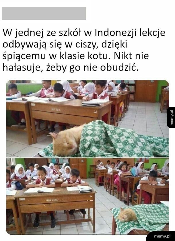 Szkoła