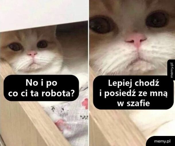 Dobra propozycja