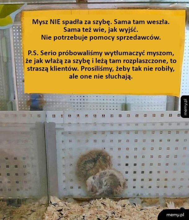 Nie słuchają