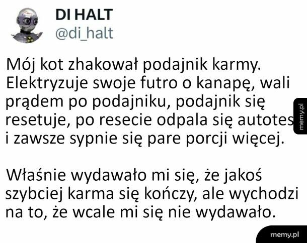 Kot haker