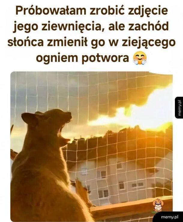 Kotzilla