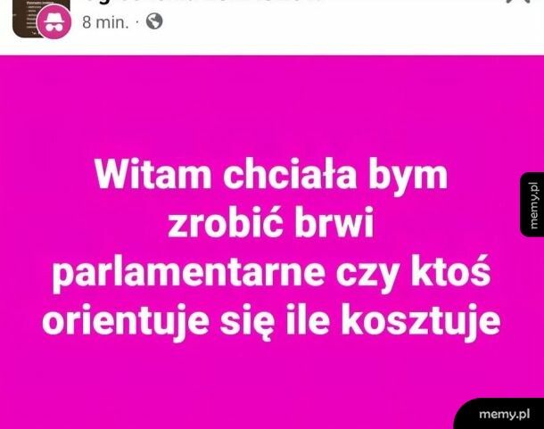 Brwi parlamentarne