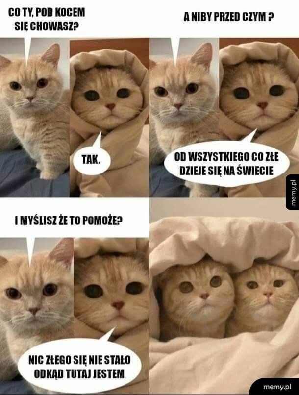 Cyk pod kołderkę