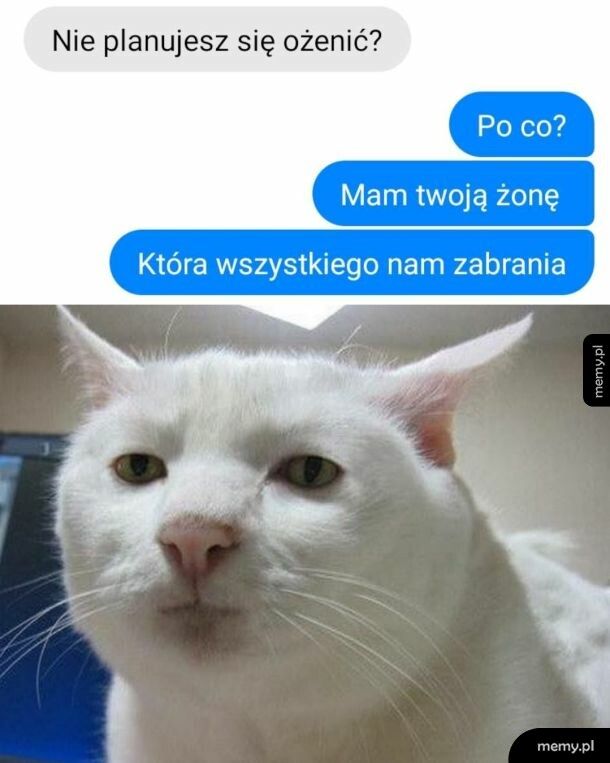 Jednej żony wystarczy