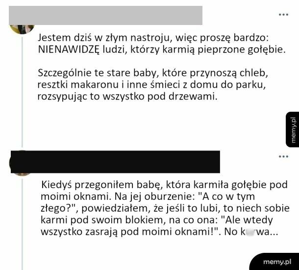 Gołębie...